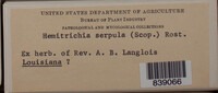 Image Associated With the Occurence